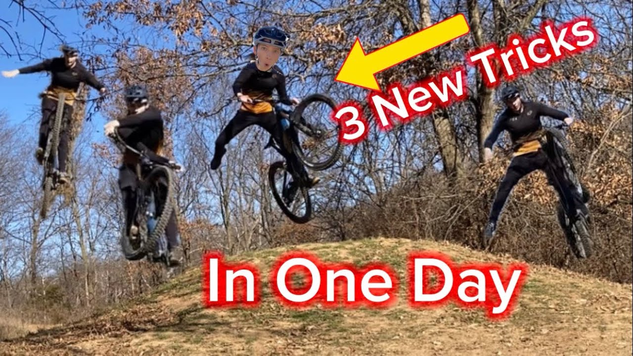 Learning Three New Tricks In One Day
