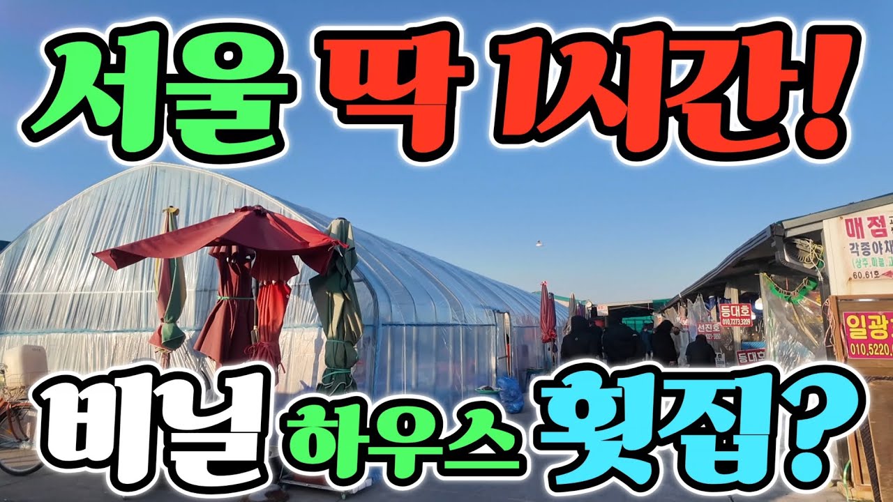 오이도 재래 어시장 비닐 하우스 횟집? 쉿! 욕먹을 각오! 자연산 횟감 다있네? 드디어 공개! Korean fish market channel 