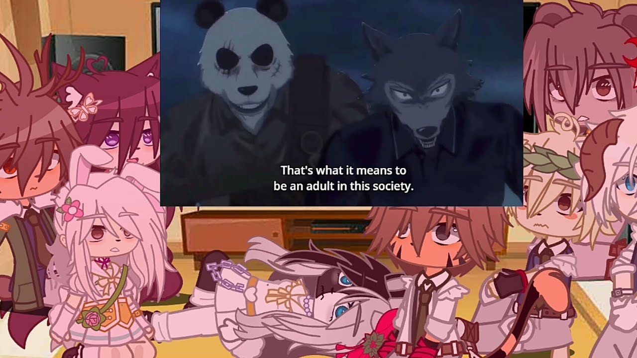 Some BeaSt☆rs💫 characters react to Legoshi🐺 and Gouhin🐼 fighting SHISHIGUMI GANG🦁 Part 1/3