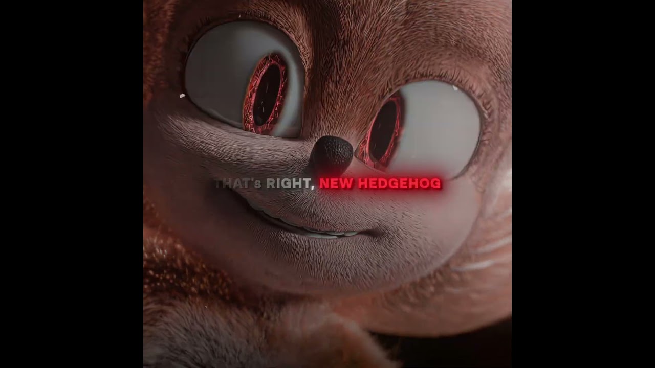 Gotta Go Fast - Shadow X Sonic 
