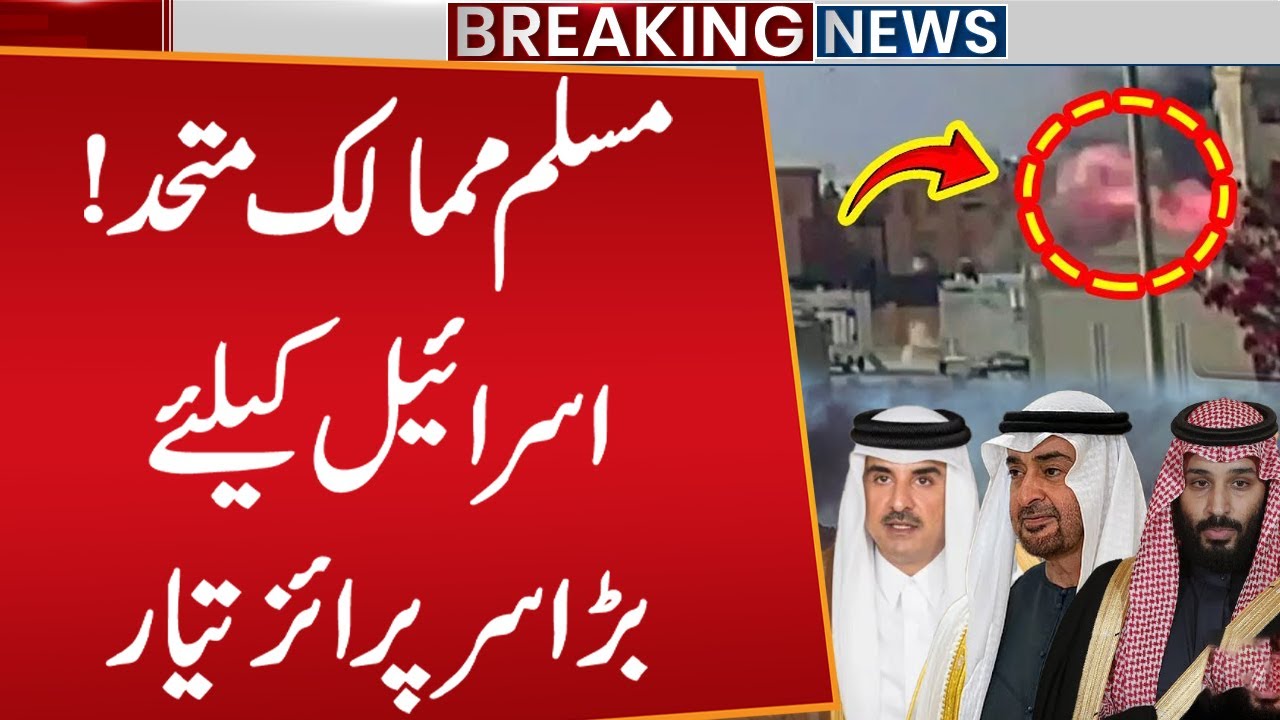 Muslim countries unite! Big Surprise Ready for Israel!| OIC Summit in Doha | Public News