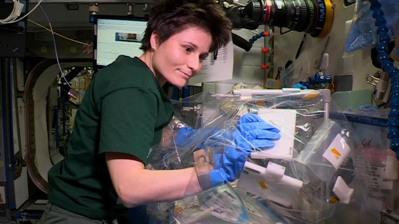 Space Station Live: Why Fruit Flies