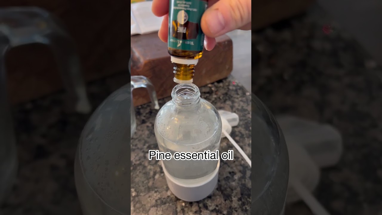 DIY Toxin Free Cleaner (all purpose) 