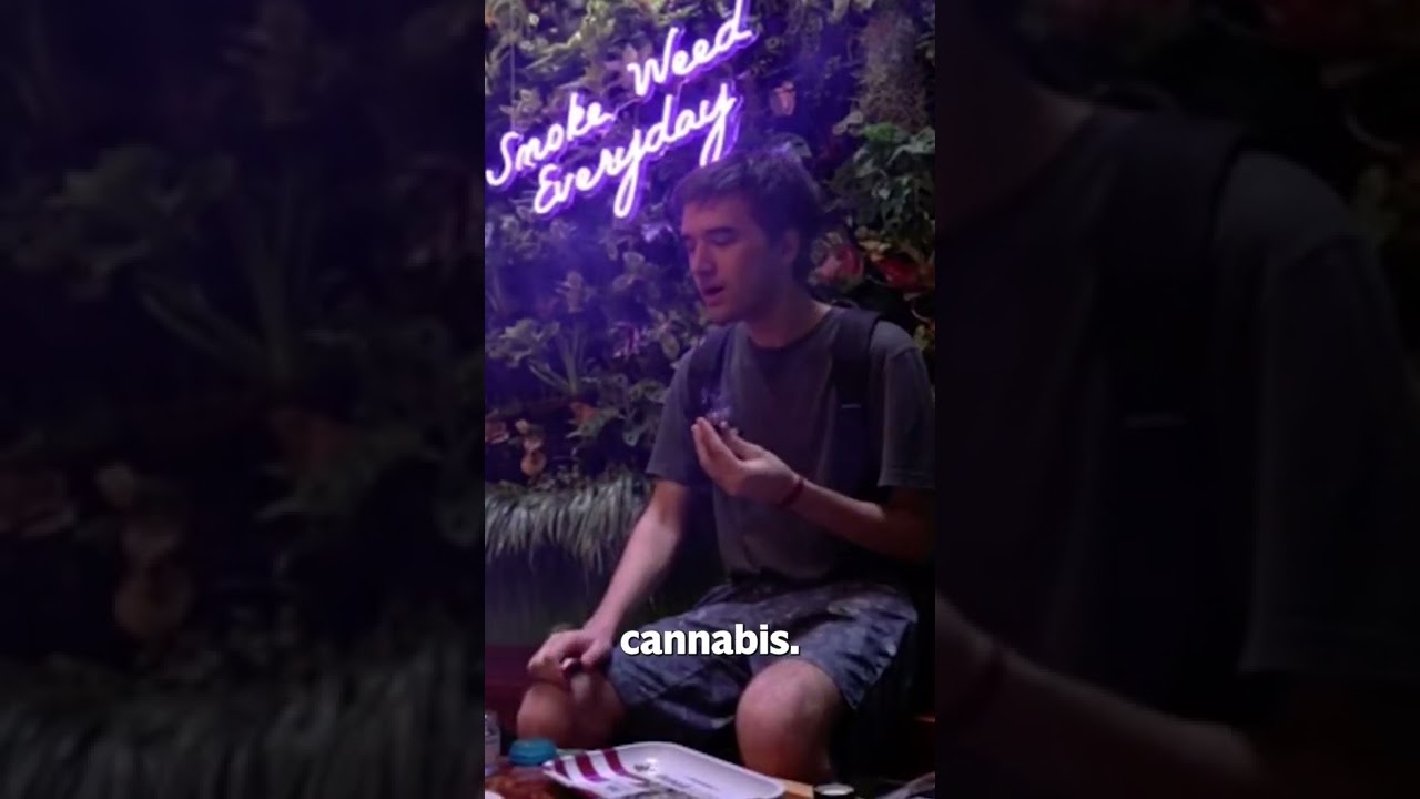 Germany announces plan to legalise cannabis for recreational use