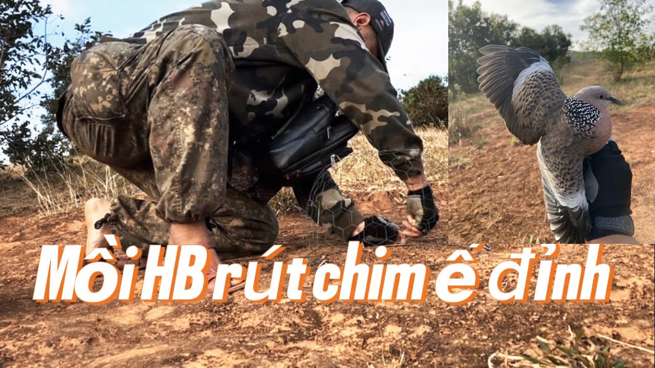 Clip 26 | Mồi HB rút bổi cực chất lượng | Khoa Kon tum 
