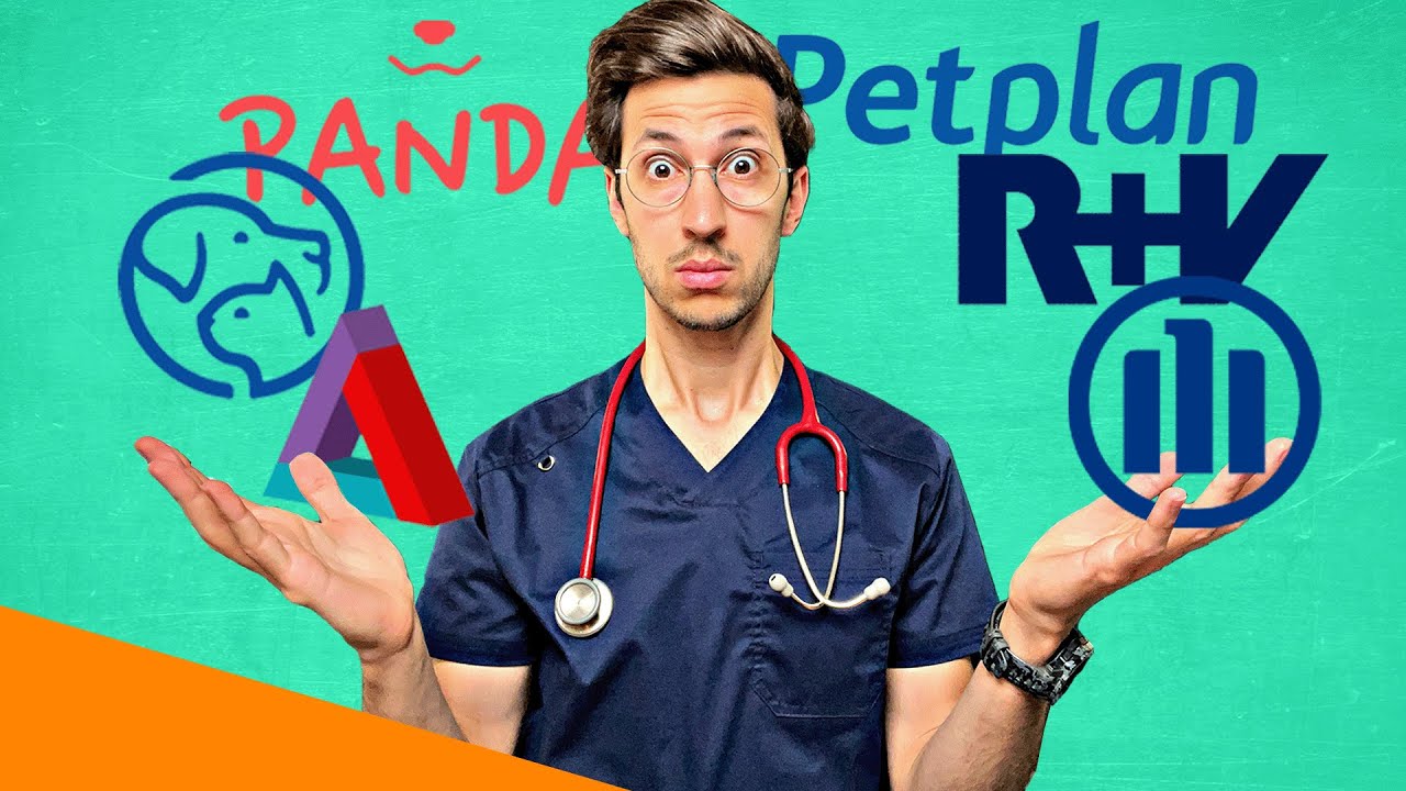 Welche TIERKRANKENVERSICHERUNG ist die Beste? Die traurige Wahrheit