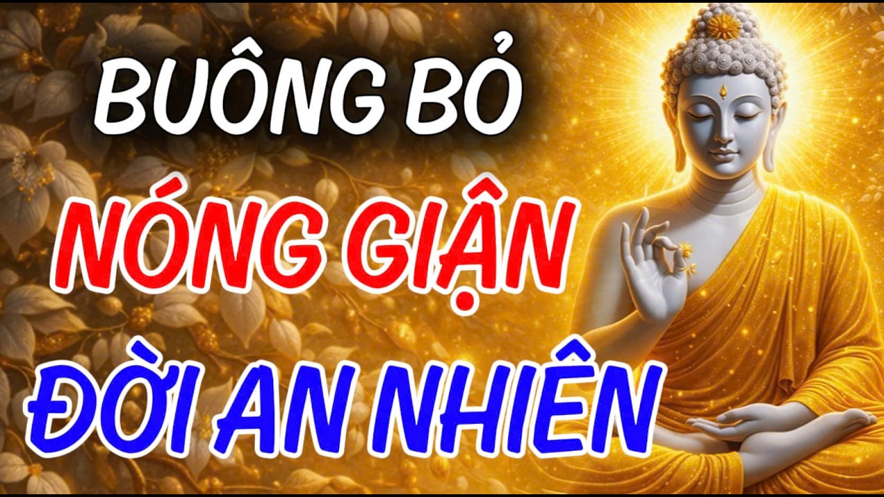 Nóng Giận Là Bản Năng, Tĩnh Lặng Là Bản Lĩnh Của Người Trí, Nghe 1 Lần Để Buông Bỏ| MỘT ĐỜI AN NHIÊN