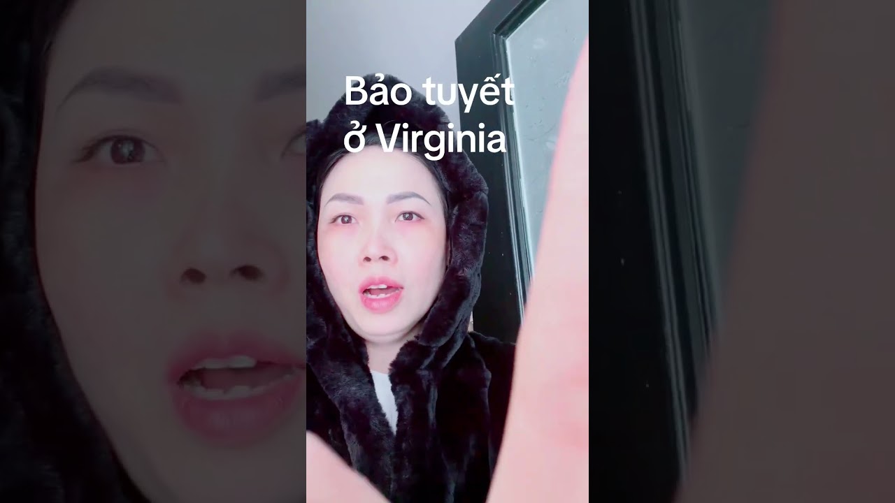 Bảo tuyết ở Virginia Mỹ 