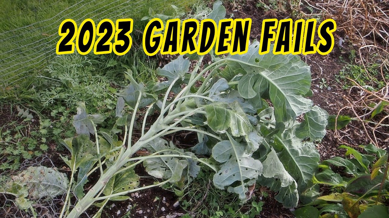 2023 Garden Fails