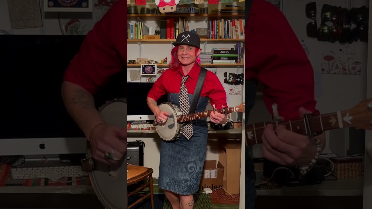 Meatsack - 2026 NPR’s Tiny Desk submission