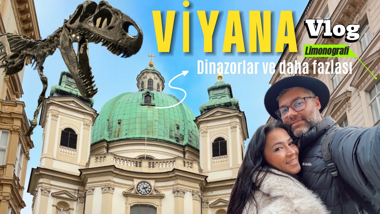 Viyana Vlog | 3 Günlük Gezi: Opera, Müzeler, Christmas Market & Şinitzel