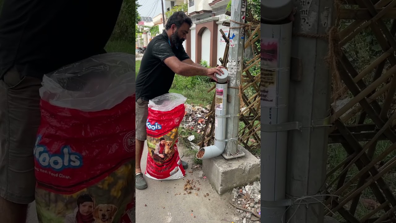 auto feeder street dogs #shortsfeed #trending #youtubeshorts #hindu #viral #food #youtube #doglover