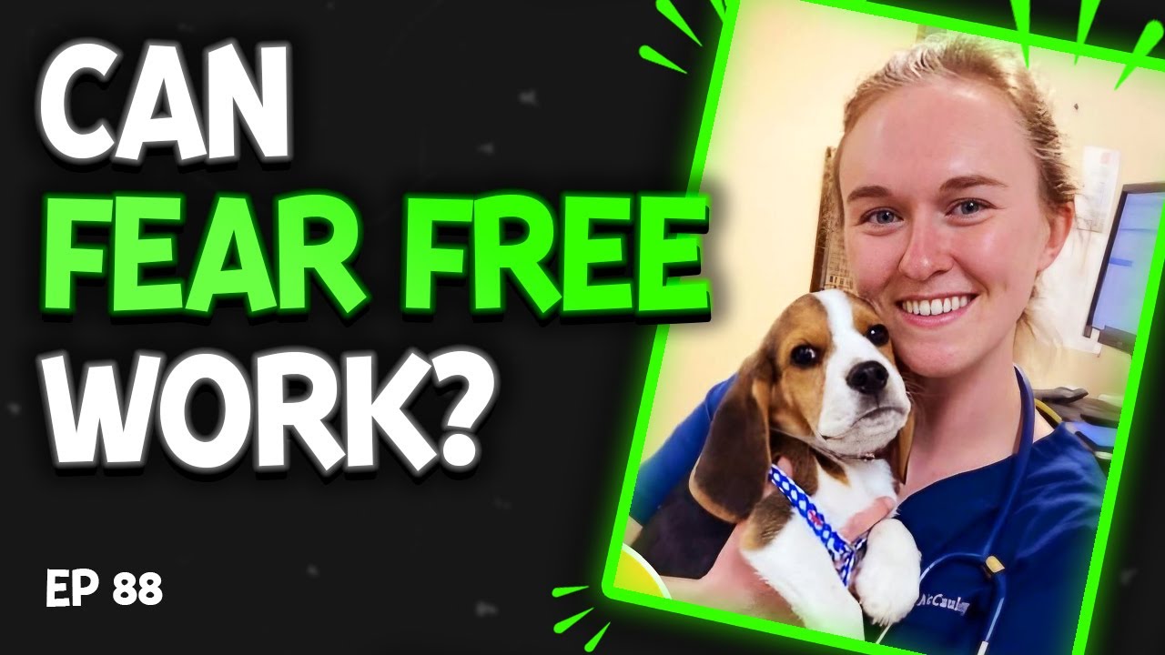 Applying Fear Free Techniques in Low-Cost Vet Clinics w/ Dr. Moriah McCauley | EP88