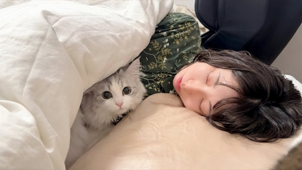疲れて眠るママの布団にこっそり忍び込んで添い寝する甘えん坊の子猫が可愛い！