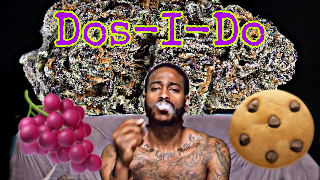 Dos-I-Do 🍇 🍪 Strain Review🔥🔥🔥