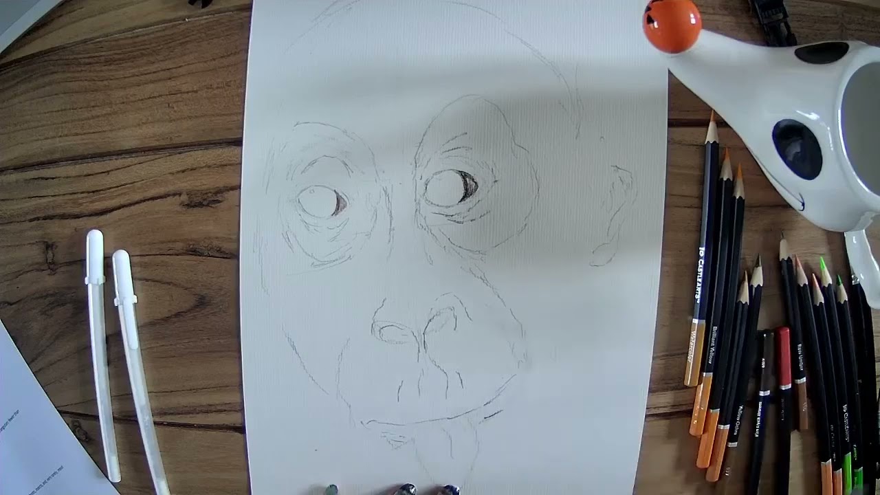 Drawalong with Pip - PRIMATES - Orangutan
