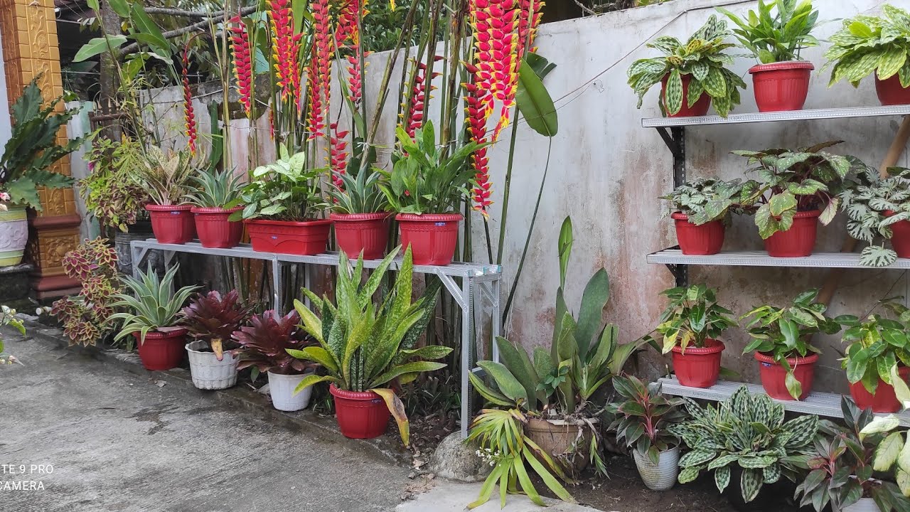 Merombak Taman Kecil di Tepi Halaman