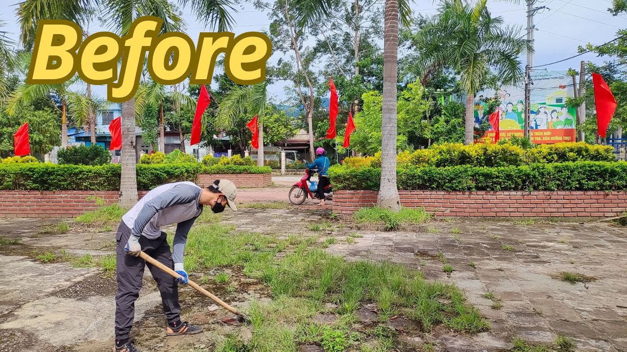 I can't believe that the premises of the Town Committee are full of weeds, dirt, and trash. ASRM