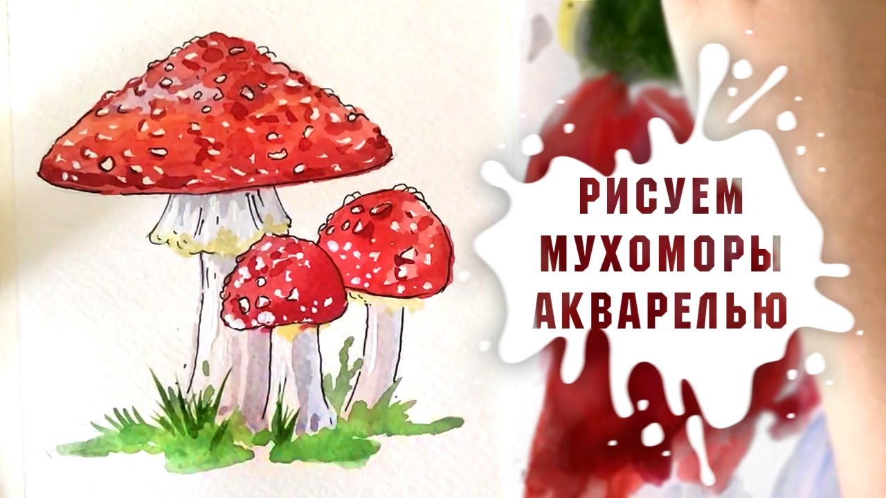 Урок - Рисуем Грибы Мухоморы Акварелью За 20 Минут!