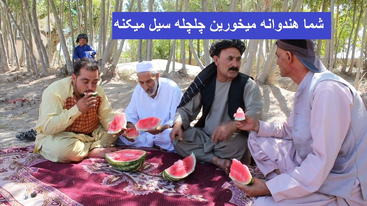 شما هندوانه میخورین چلچله سیل میکنه