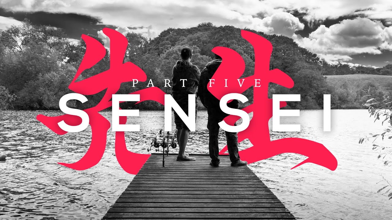 Sensei - A master of carp fishing
