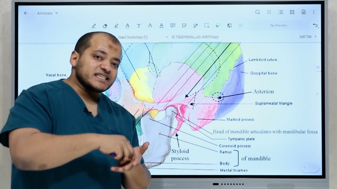 TEMPORO MANDIBULAR JOINT (TMJ Anatomy)