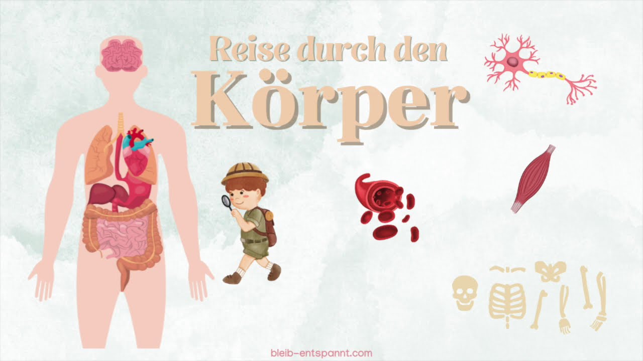 Traumreise f&uuml;r Kinder zum Einschlafen - Reise durch den K&ouml;rper - Kindern erkl&auml;rt - Fantasiereise