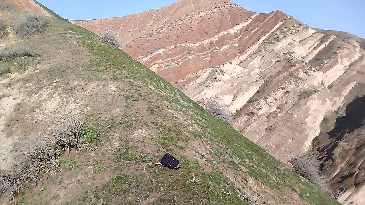 шикор кавг тамошо куне срочно
