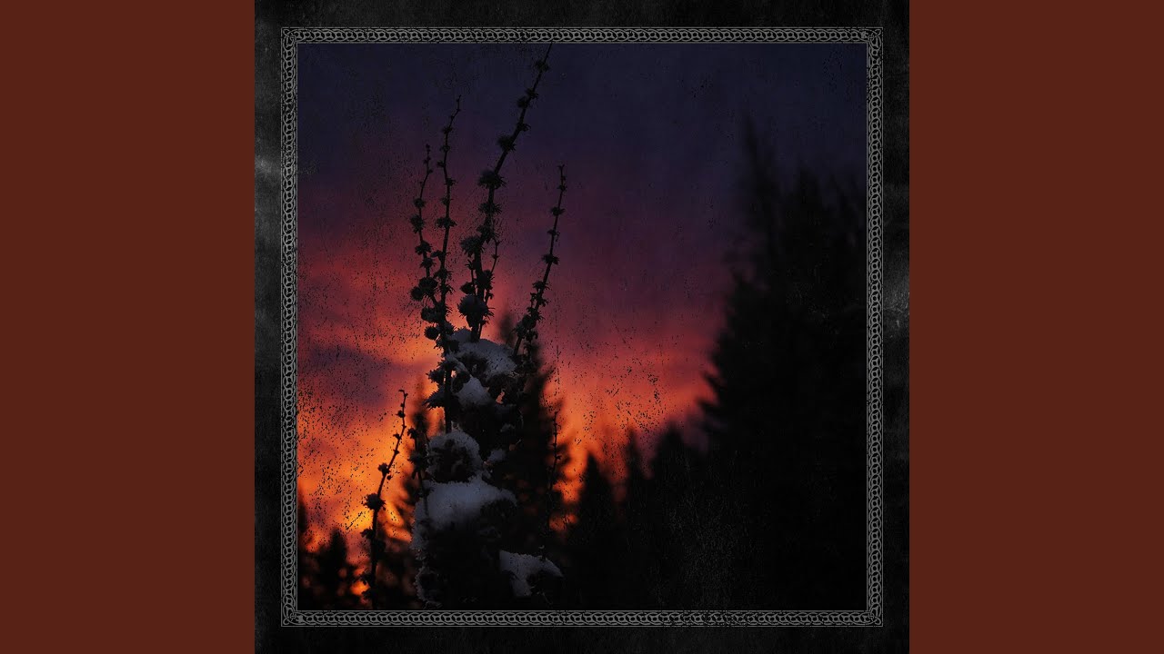 Nocturnal Womb