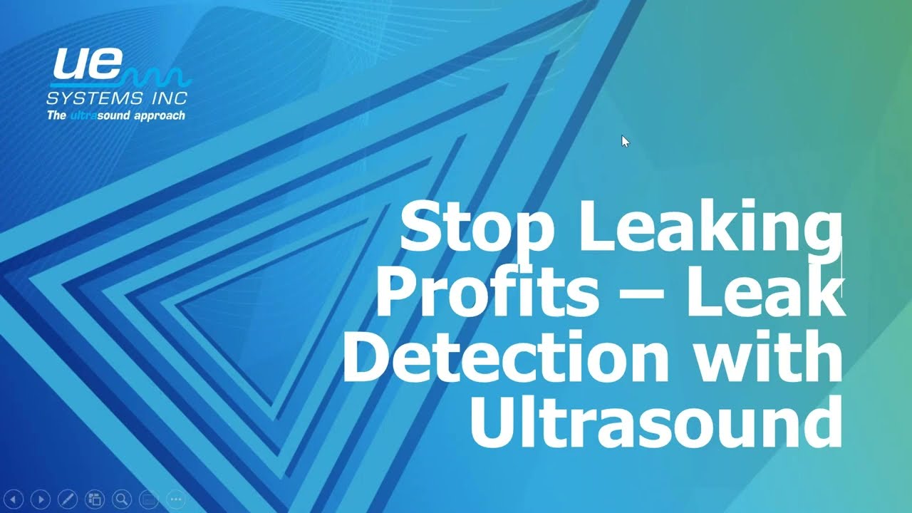 Stop Leaking Profits – Leak Detection with Ultrasound - UE Systems Inc.