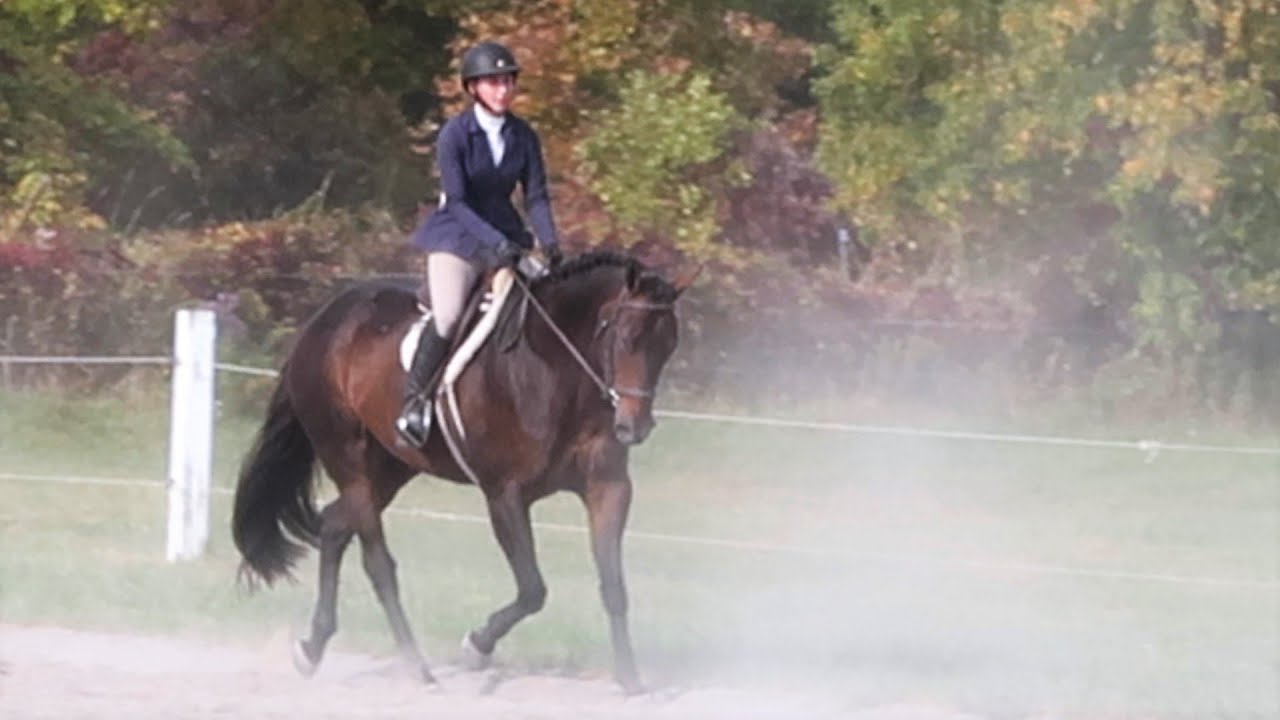 Is Her New Horse A Grand Champion!