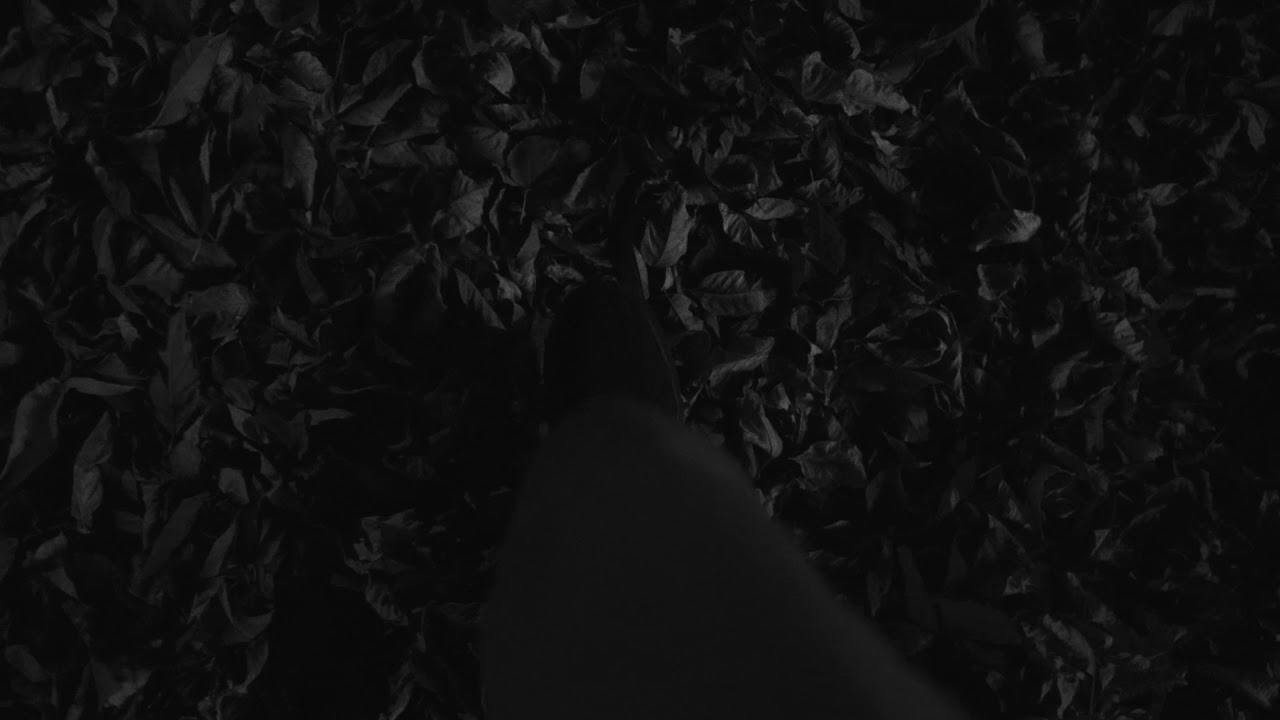 Quick Tingles - Slowly Walking in Leaves