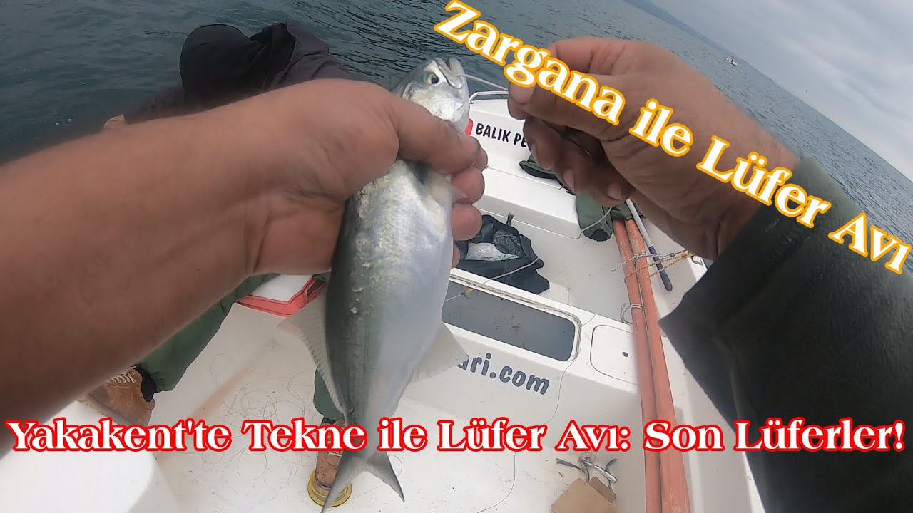 Yakakent'te Tekne ile Lüfer Avı: Son Lüferler!