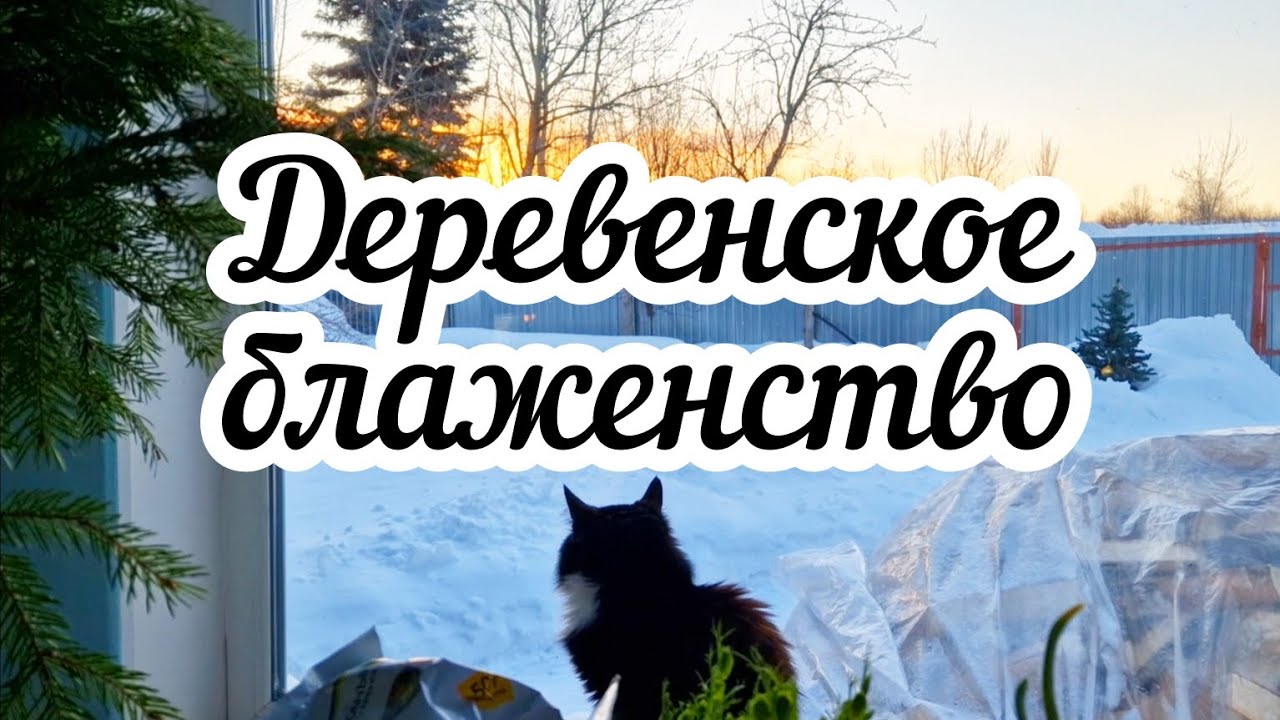 Деревенское блаженство 🏠🌲 Обзор бани 💨