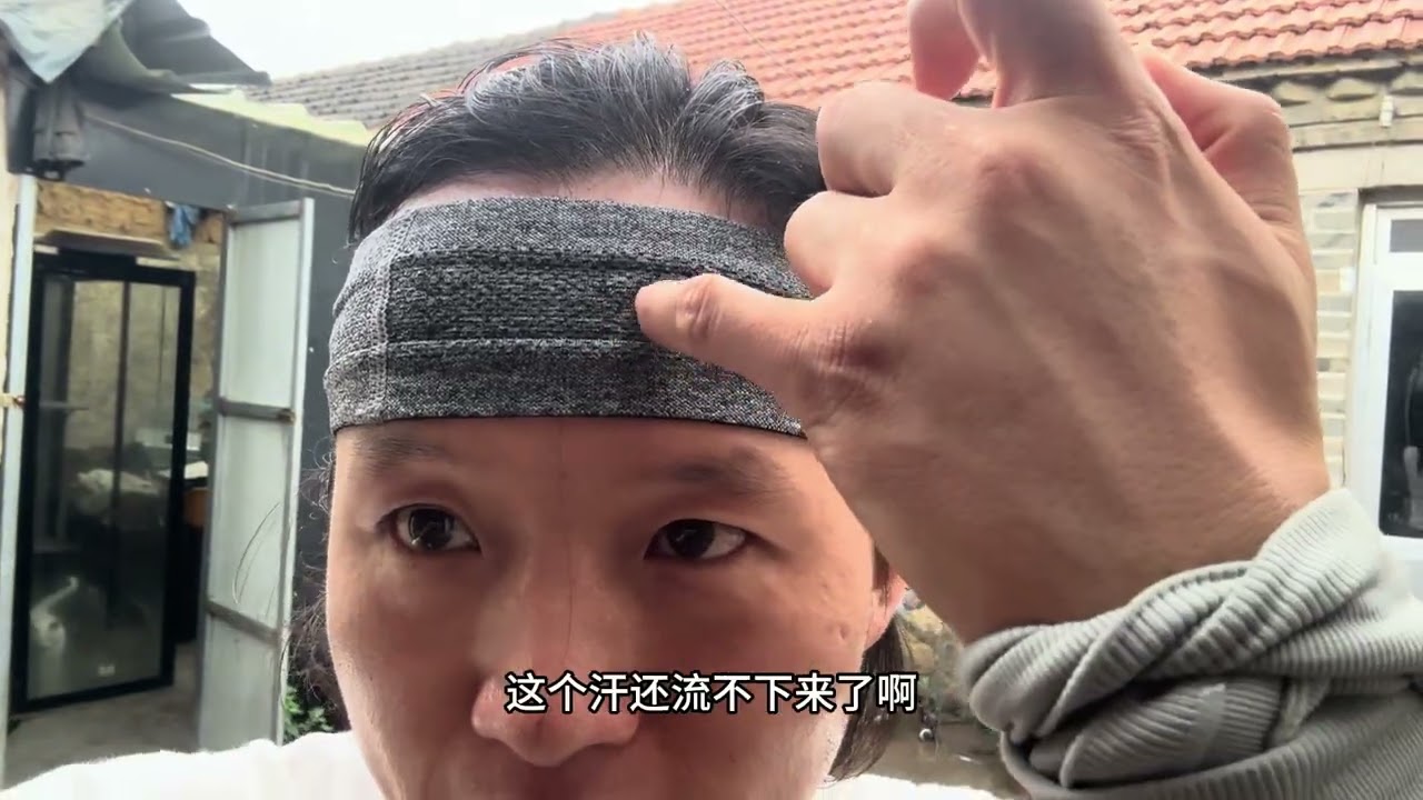 近期的救助二三事