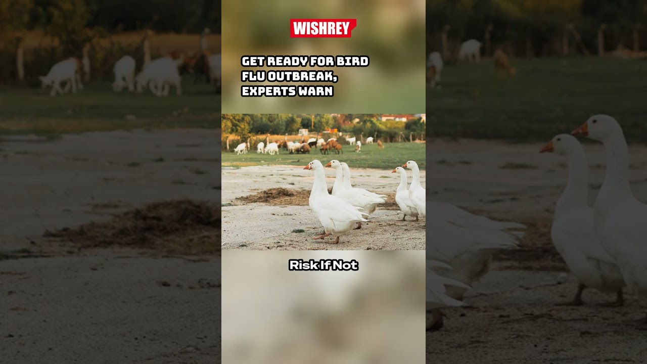 H5N1 Avian Flu: The Pandemic Threat You Need to Know! 