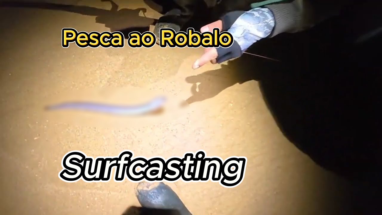 Já começou a época do Robalo? - Surfcasting Algarve
