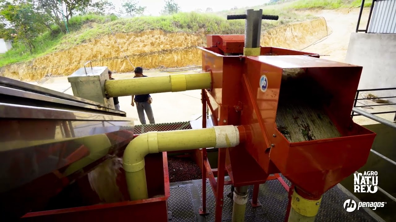 Agronaturex: innovación y sostenibilidad en café con equipos Penagos☕