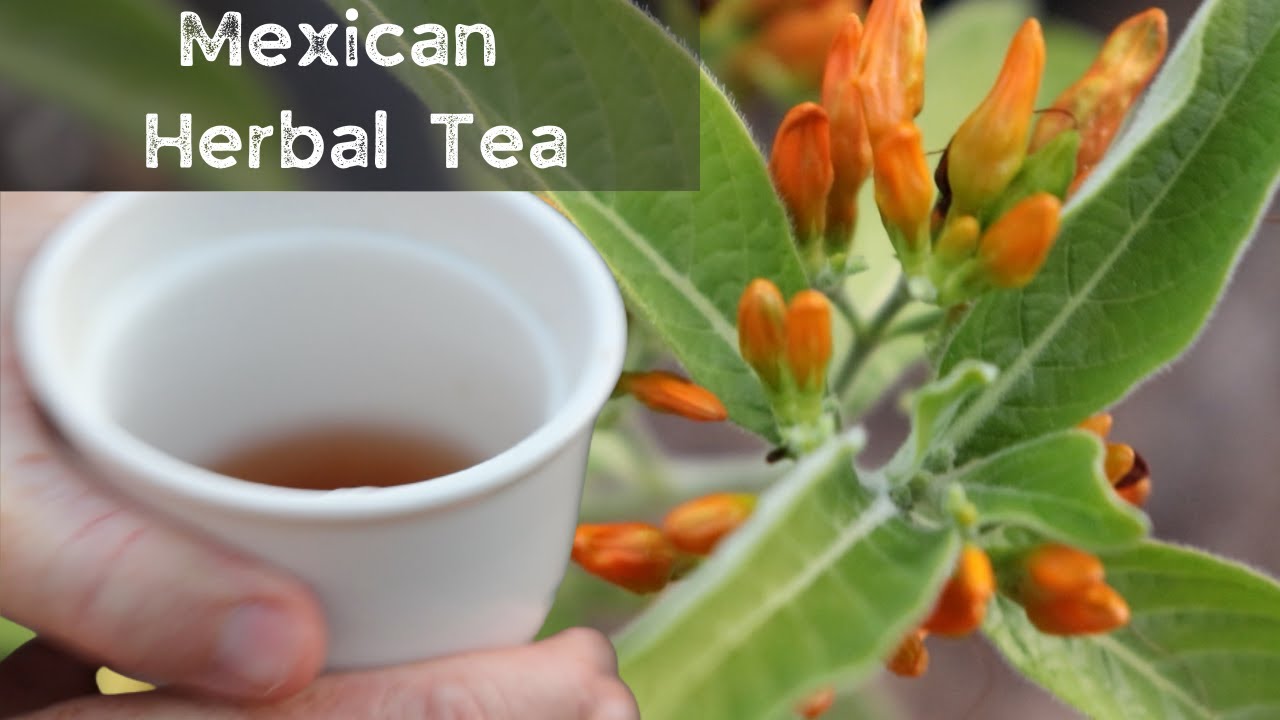 Try this Mexican Herbal Tea