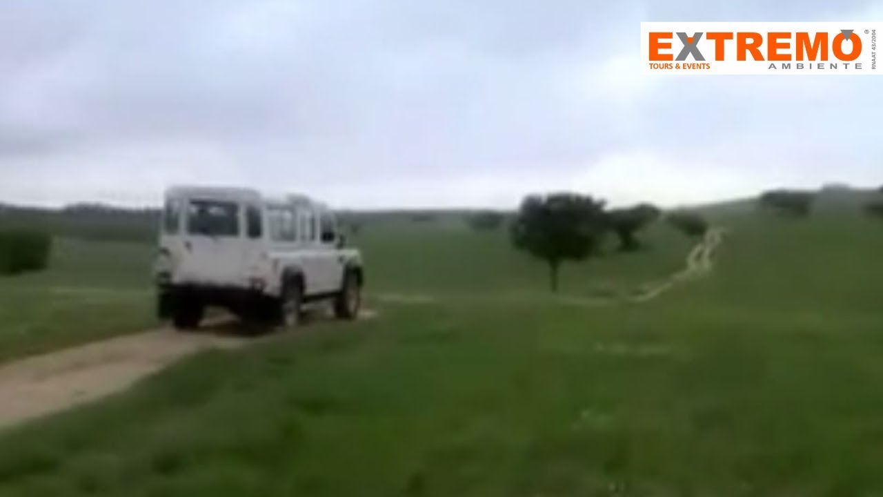 Alentejo 4WD Tours | Extremo Ambiente