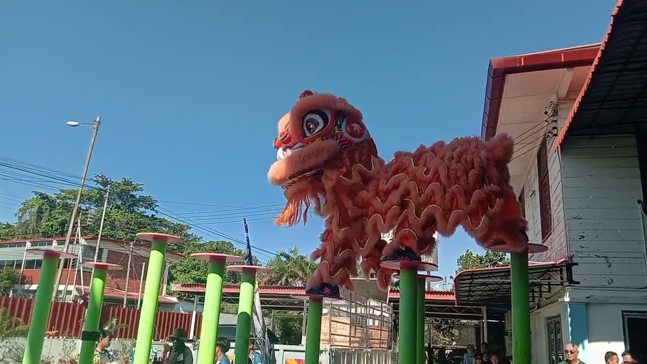 Lion Dance @Stella Maris Church