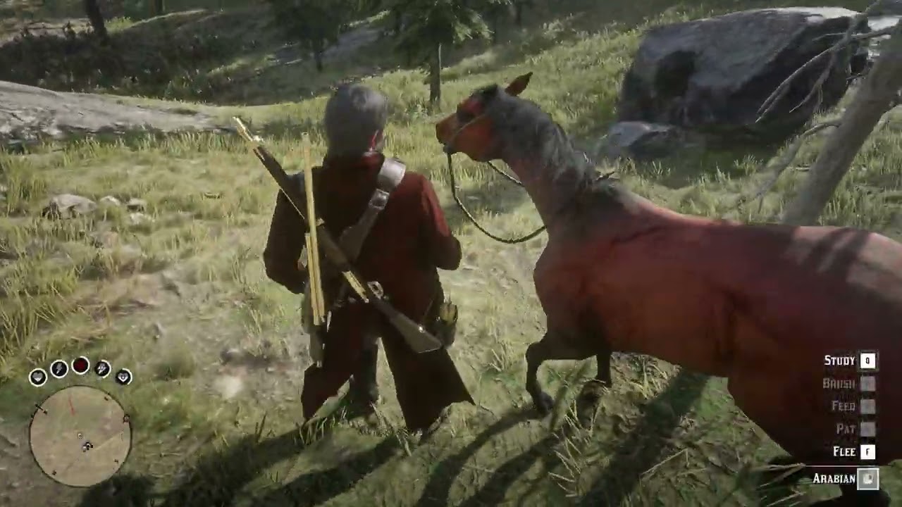 RDR2 Free Roam Kills & Bounty Hunter Action | Outlaw Fights + Wanted Missions