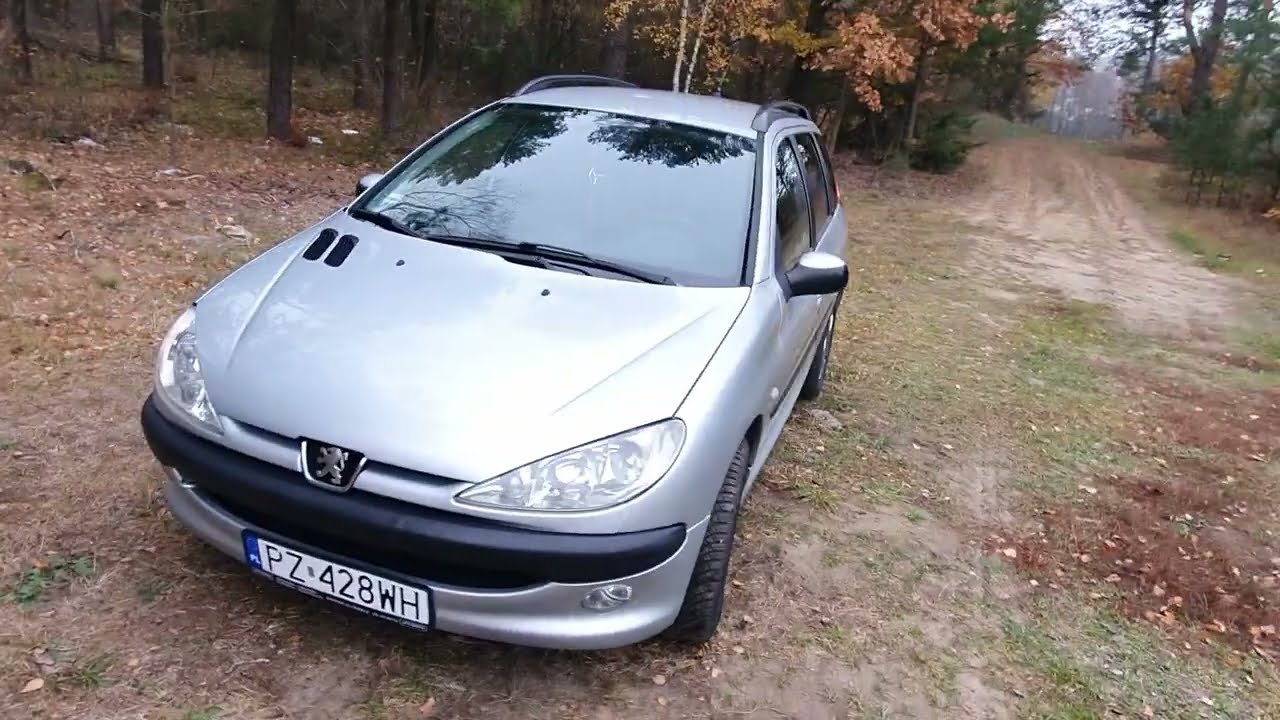 Peugeot 206SW za 1500zł - czy warto??? Co się da kupić za taką kwotę?