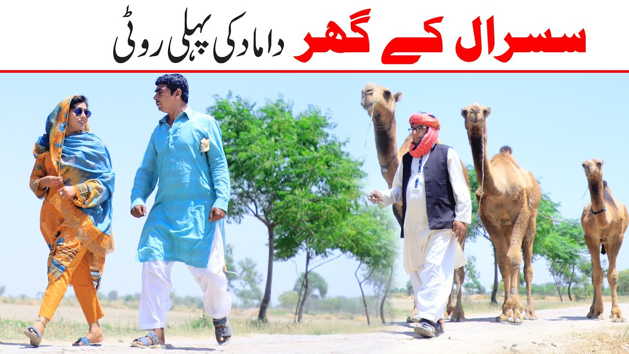 Roti Ramzi,Noori, Bilo ,Bhootna,Shoki, Sanam, Falak Sher,Funny Video  Rachnavi Tv