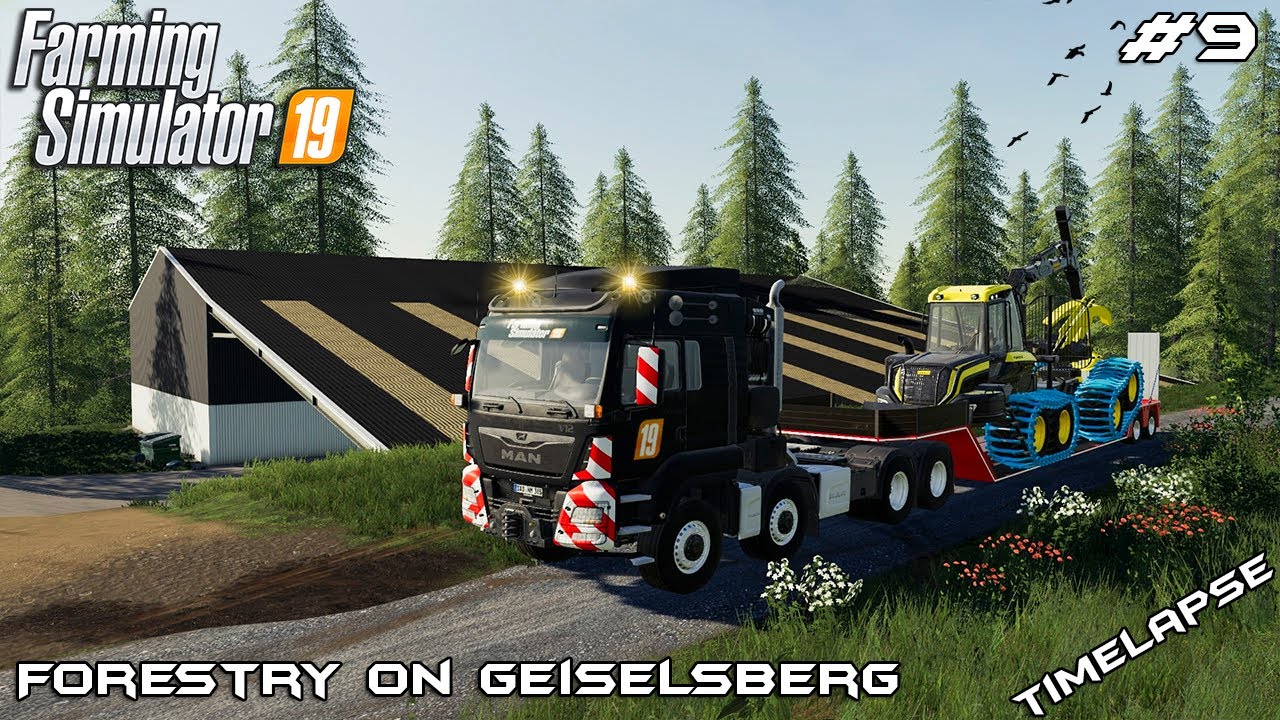 Building machinery and storage shed | Forestry on Geiselsberg | Farming Simulator 19 | Episode 9