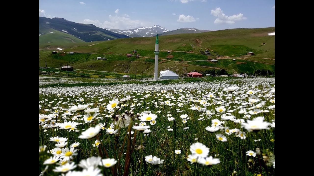 ESPİYE- Karaovacık Civar Obalar  ve Kürtün-Kazıkbeli Yaylaları 2019
