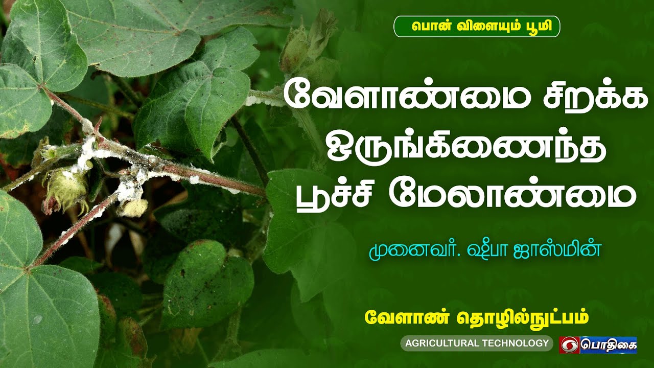 ஒருங்கிணைந்த பூச்சி மேலாண்மை | வேளாண் தொழில் நுட்பம் | 08 - 04 -2022