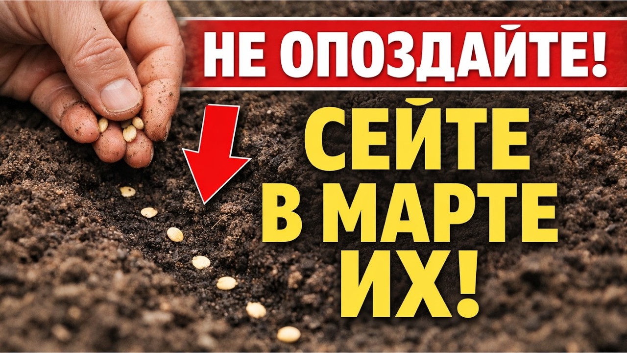 НЕ ОПОЗДАЙТЕ! Что ОБЯЗАТЕЛЬНО посеять на рассаду в марте, чтобы урожай ломился!