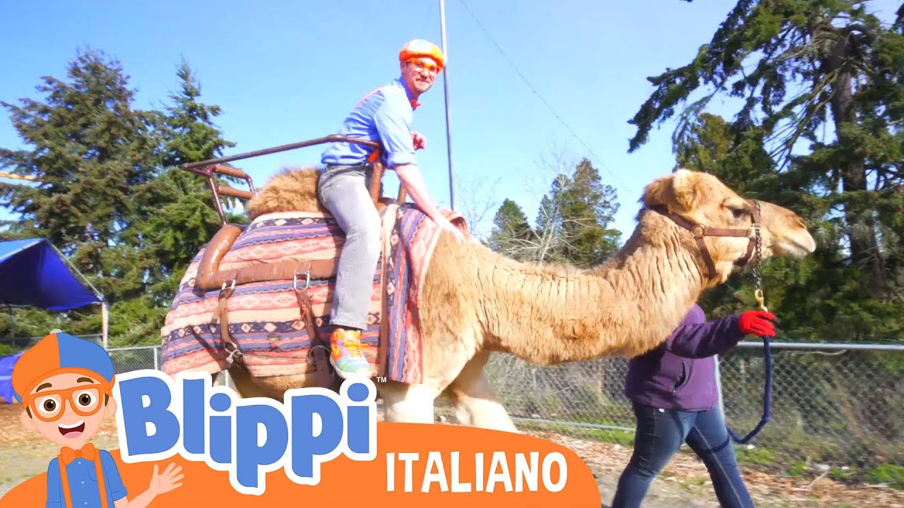 Blippi Visita uno Zoo (Aquario) | Blippi in Italiano | Video educativi per bambini
