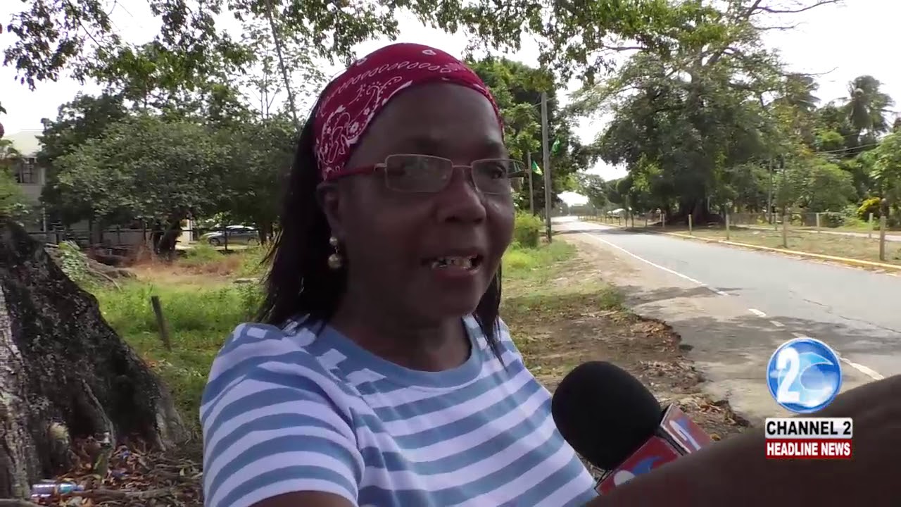 MAHAICONY RESIDENTS CALL FOR REMOVAL OF DUTCH TREE
